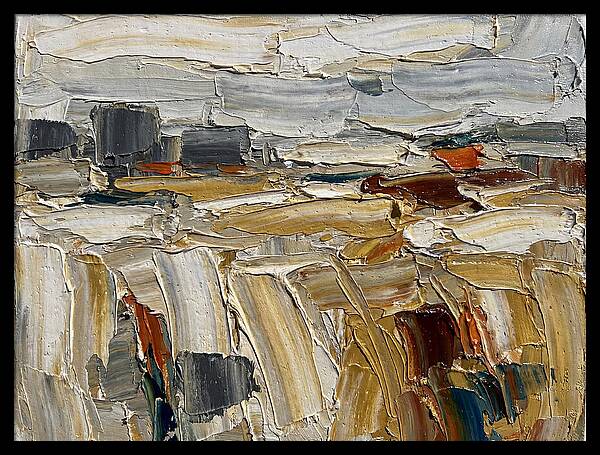 Grain Fields In Texture