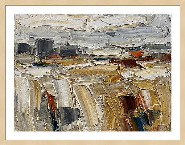Grain Fields In Texture
