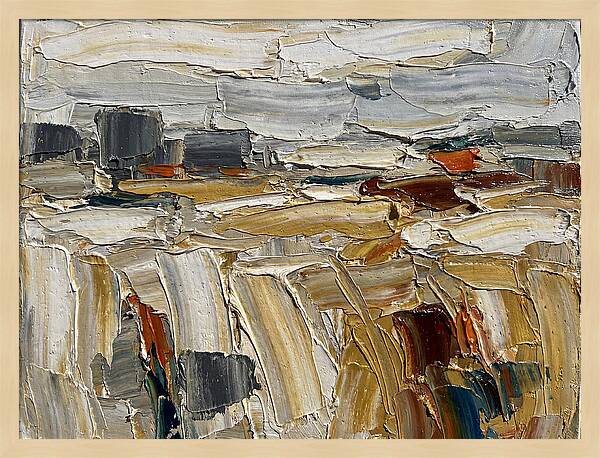 Grain Fields In Texture