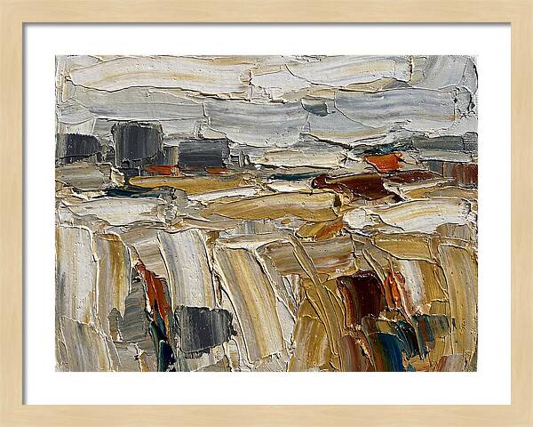 Grain Fields In Texture