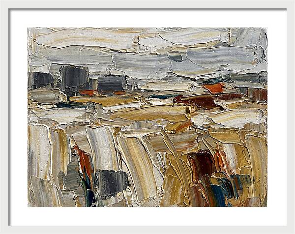 Grain Fields In Texture