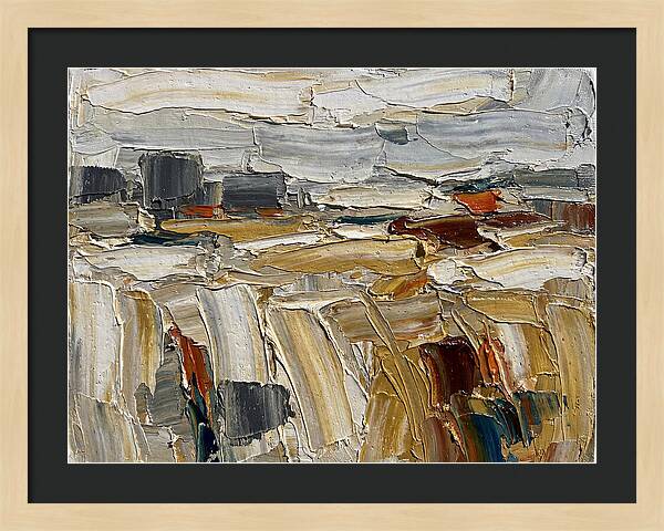 Grain Fields In Texture