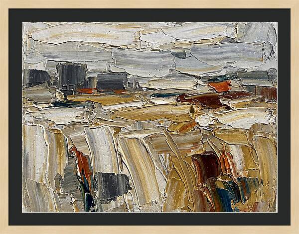 Grain Fields In Texture