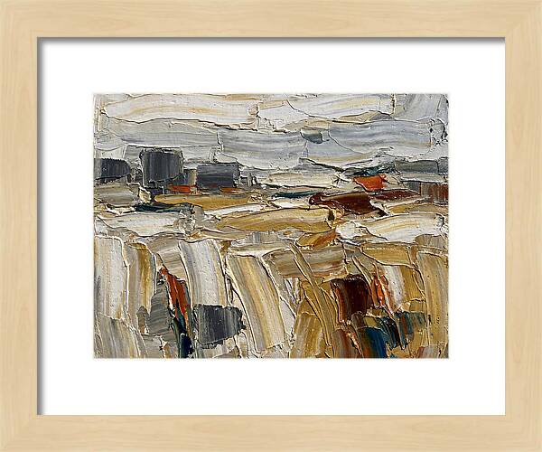 Grain Fields In Texture