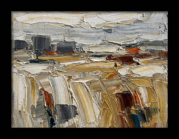 Grain Fields In Texture