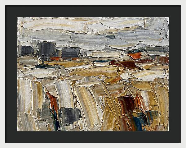 Grain Fields In Texture