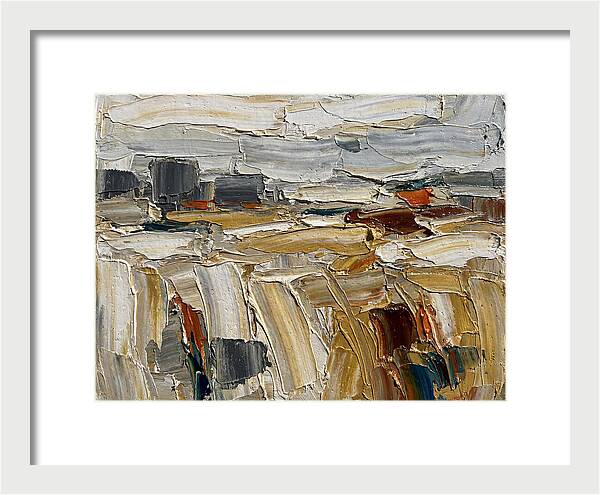 Grain Fields In Texture