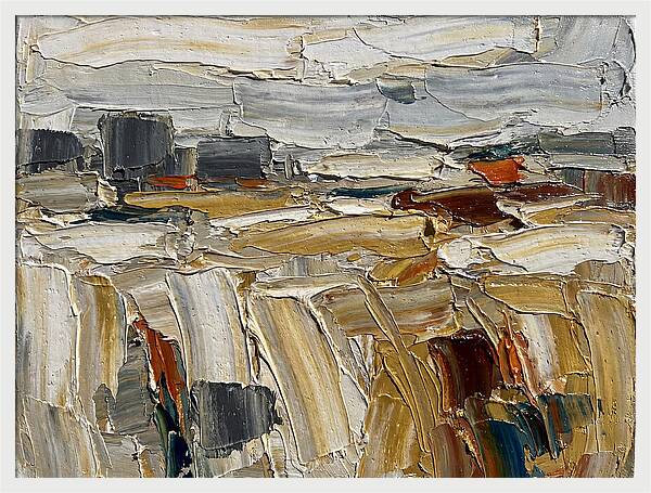 Grain Fields In Texture