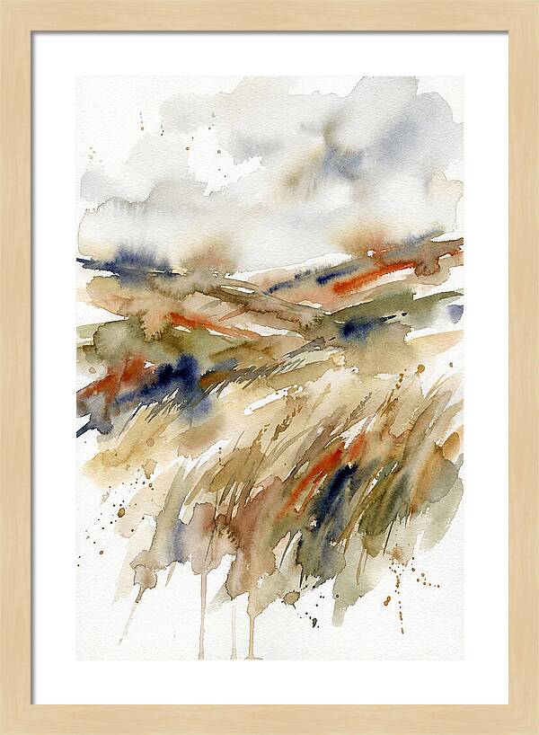 Grain Fields In Watercolor
