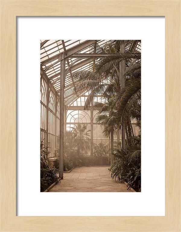 Grand Conservatory Oasis