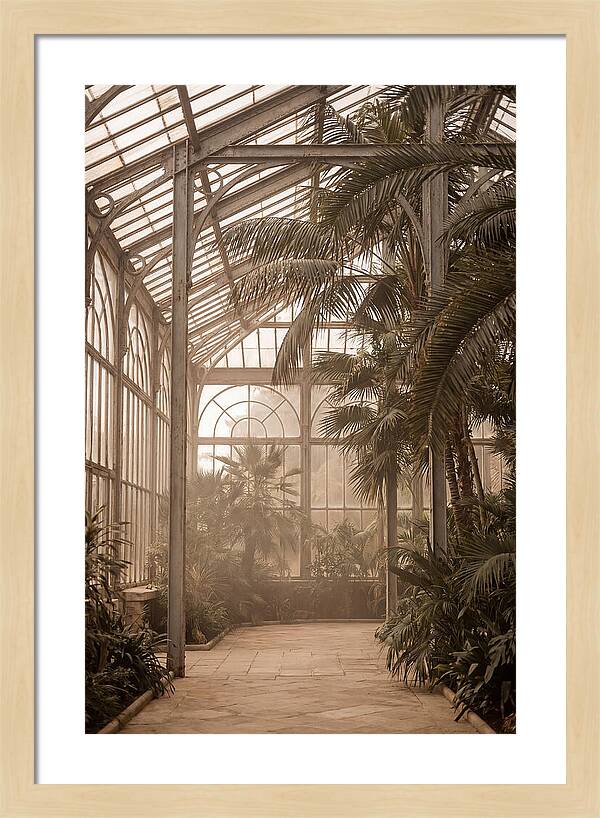 Grand Conservatory Oasis