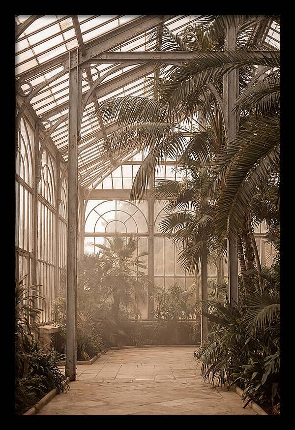 Grand Conservatory Oasis