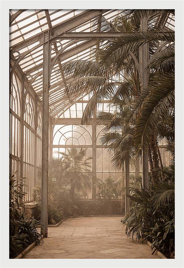 Grand Conservatory Oasis