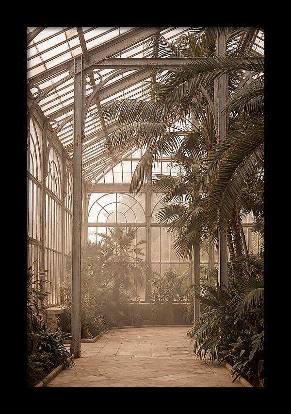 Grand Conservatory Oasis