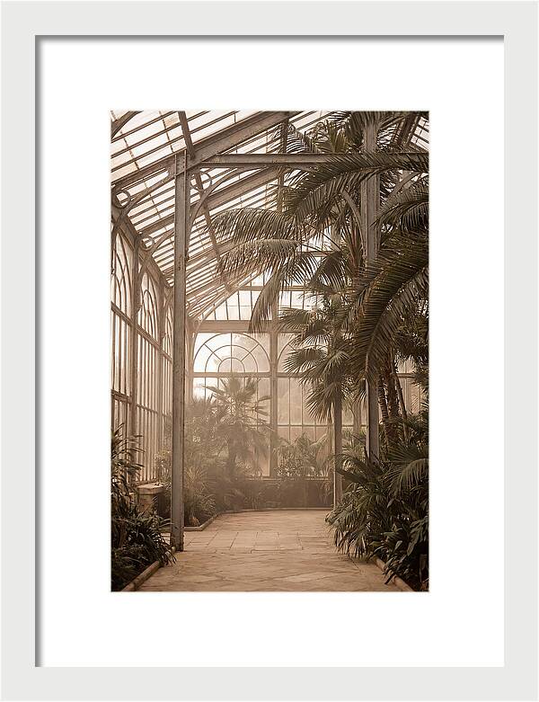 Grand Conservatory Oasis