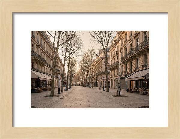 Grand European Boulevard Serenity