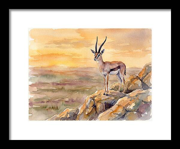 Grant Gazelle At Sunset