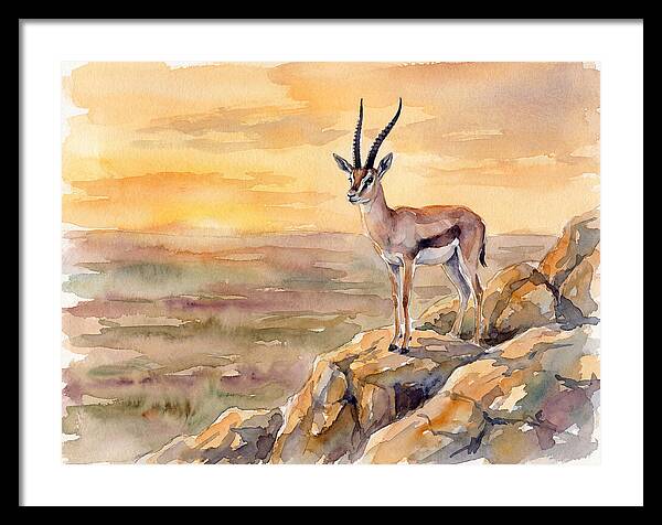 Grant Gazelle At Sunset