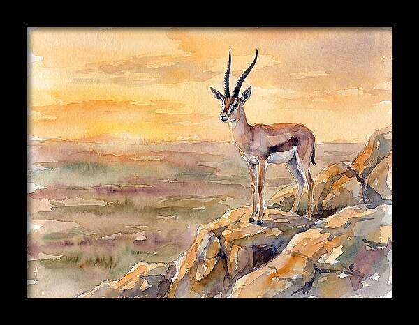 Grant Gazelle At Sunset