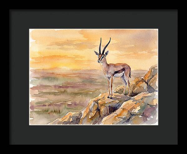Grant Gazelle At Sunset