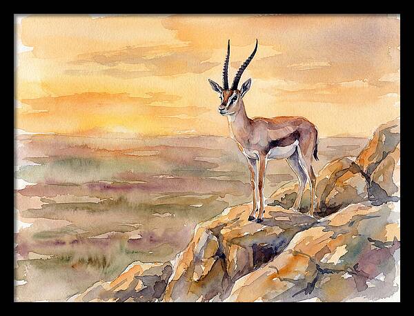 Grant Gazelle At Sunset