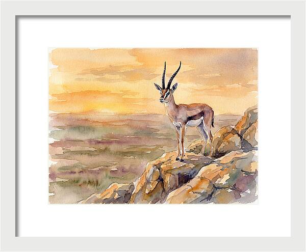 Grant Gazelle At Sunset