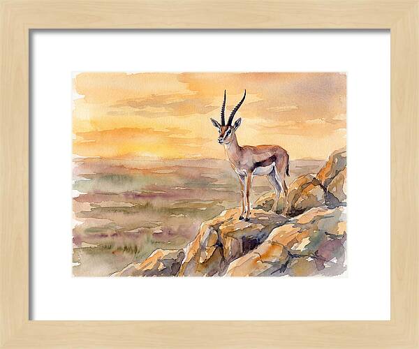Grant Gazelle At Sunset
