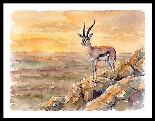 Grant Gazelle At Sunset