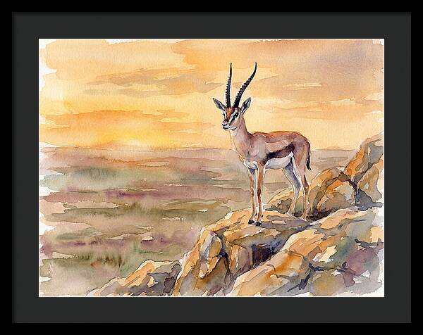 Grant Gazelle At Sunset