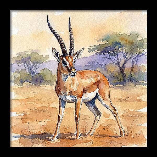 Grant Gazelle In Nature