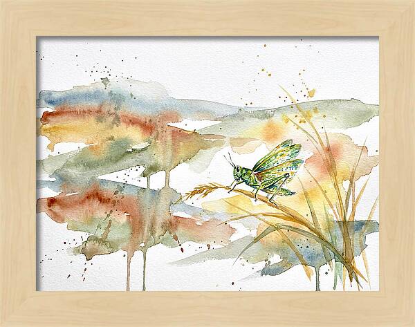 Grasshopper Among The Grasses