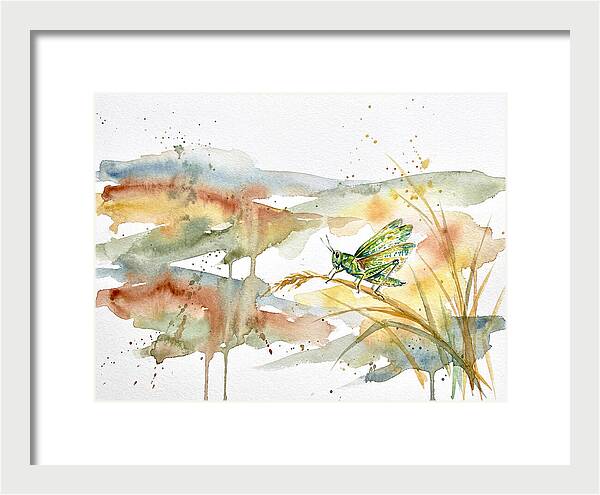 Grasshopper Among The Grasses