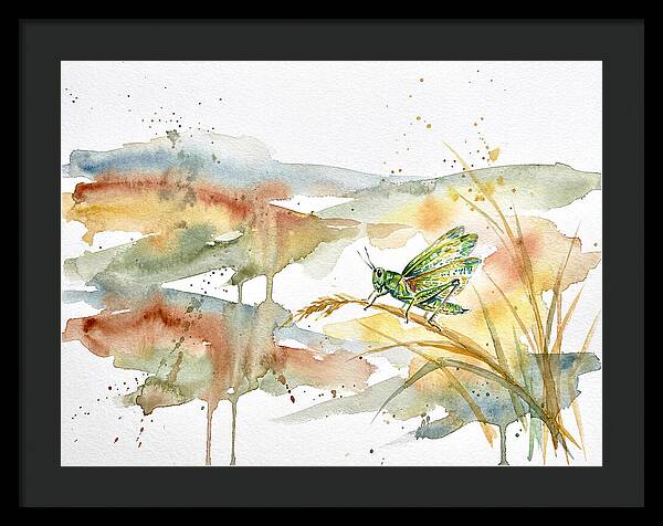 Grasshopper Among The Grasses