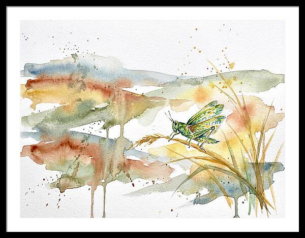 Grasshopper Among The Grasses