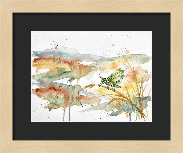 Grasshopper Among The Grasses