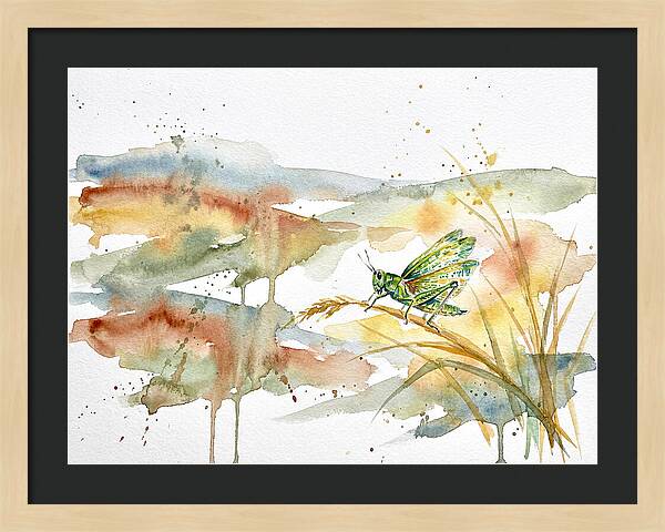 Grasshopper Among The Grasses