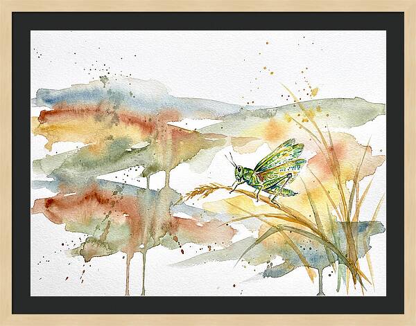 Grasshopper Among The Grasses