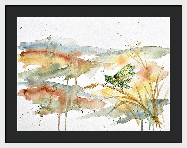 Grasshopper Among The Grasses