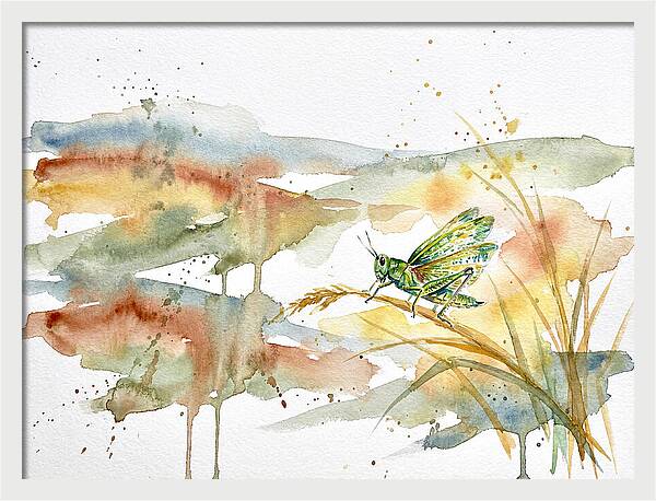 Grasshopper Among The Grasses