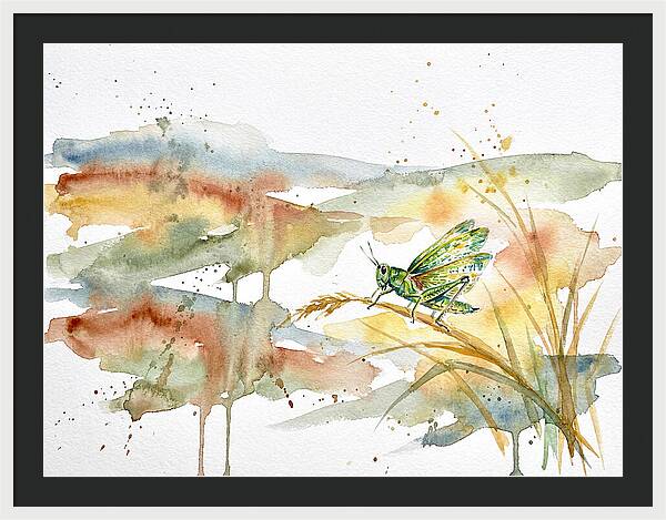 Grasshopper Among The Grasses