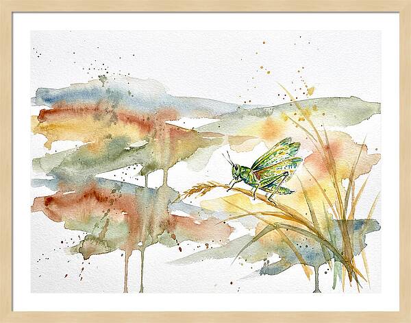 Grasshopper Among The Grasses