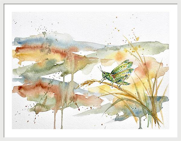Grasshopper Among The Grasses