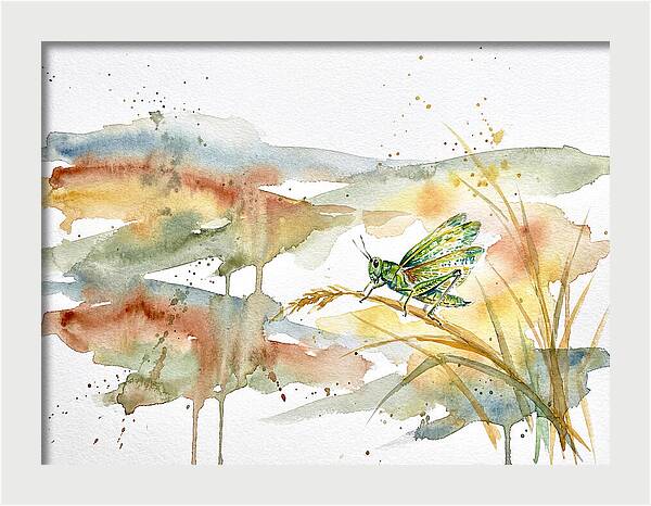 Grasshopper Among The Grasses