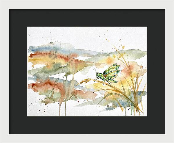 Grasshopper Among The Grasses