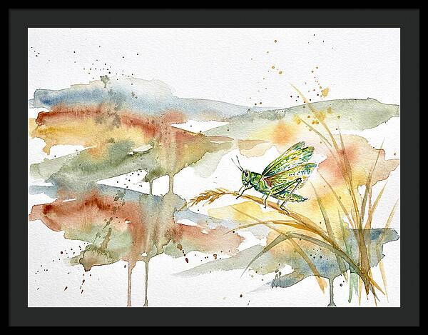 Grasshopper Among The Grasses