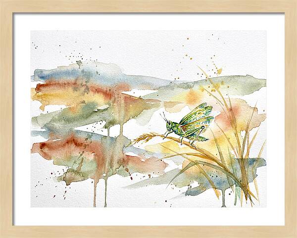 Grasshopper Among The Grasses
