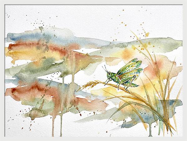 Grasshopper Among The Grasses