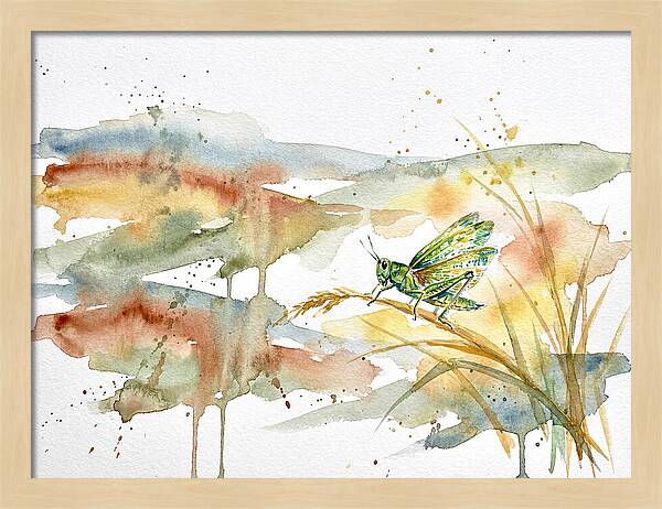 Grasshopper Among The Grasses