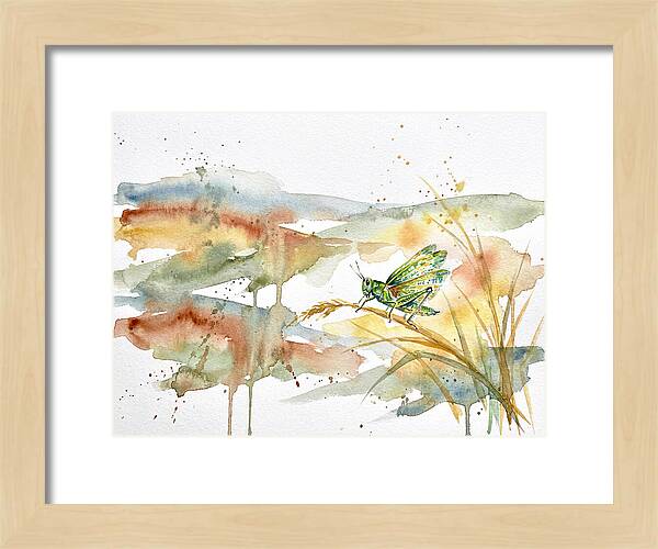 Grasshopper Among The Grasses