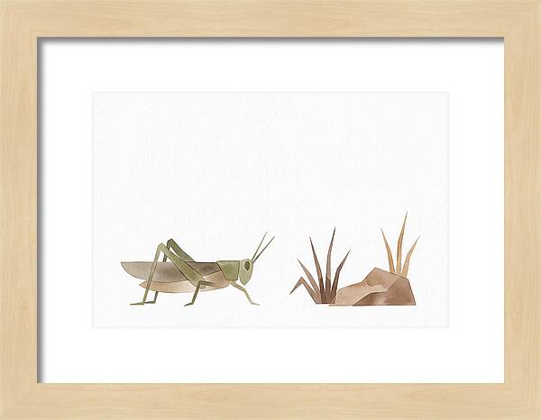 Grasshopper Amongst Nature